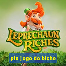 pix jogo do bicho